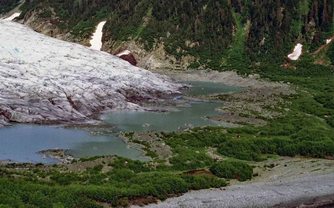 Bainbridge Glacier, Port Bainbridge