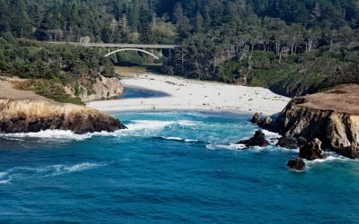 Jug Handle Cove, Ecological Staircase