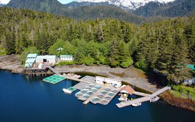 Little Port Walter, Baranof Island