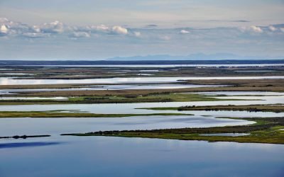 Selawik River, Kotzebue Sound