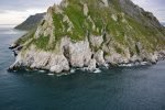 Sledge Island, Bering Sea