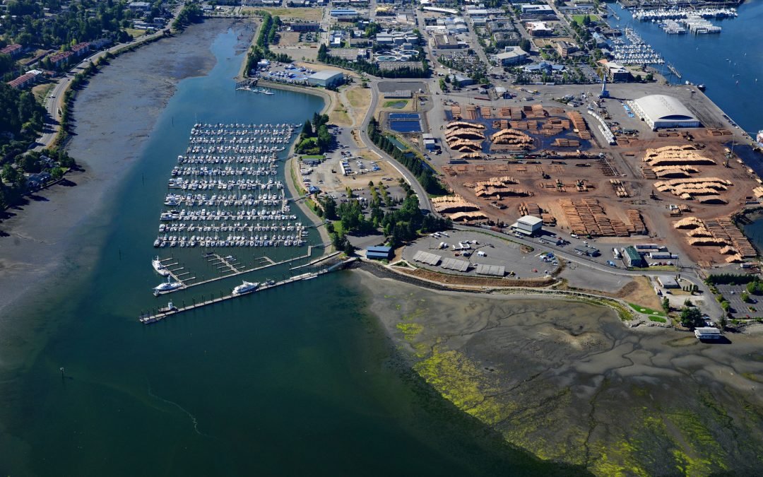 Swantown, Budd Inlet