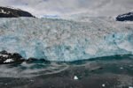 Aialik Glacier, Kenai Fjords National Park