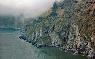 Cape Newenham, Togiak Bay