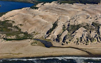 Oso Flaco Creek, Guadalupe-Nipomo Dunes