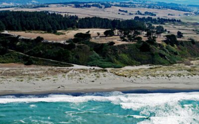 Table Bluff, Humboldt Bay