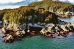 George Islands, Cross Sound