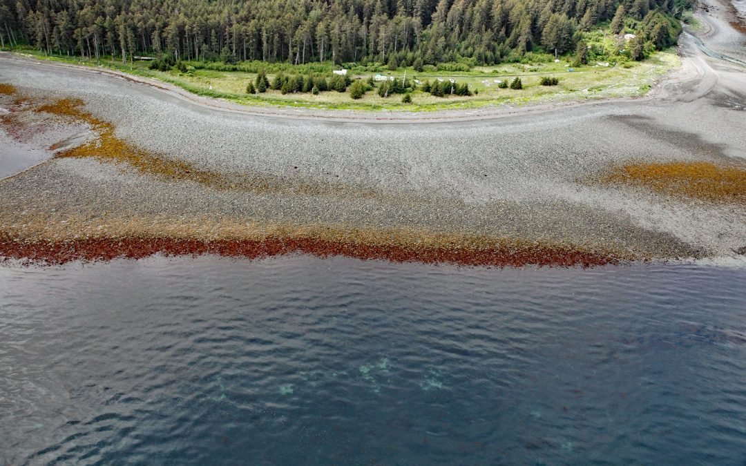 Barabara Point, Kachemak Bay