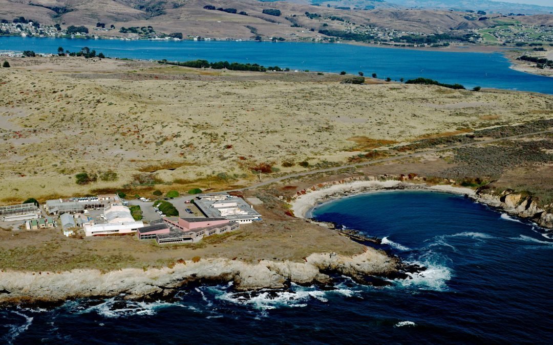 Bodega Marine Laboratory, Bodega Head