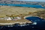 Bodega Marine Laboratory, Bodega Head