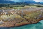 Humpy Creek, Kachemak Bay