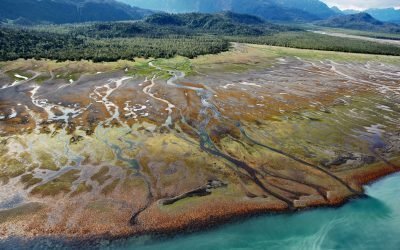 Humpy Creek, Kachemak Bay