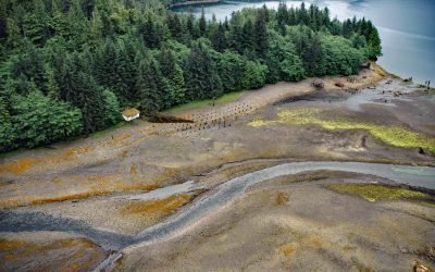 Rose Inlet Cannery, Dall Island