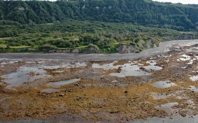 Bluff Point, Kachemak Bay