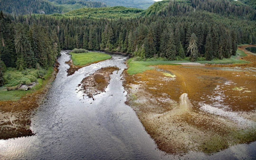 Crab River, Devastation Channel