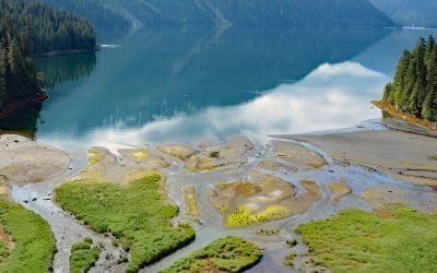 Foch Lagoon, Foch-Gilttoyees Provincial Park