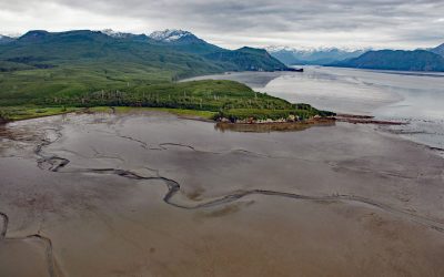 Fossil Point, Tuxedni Bay
