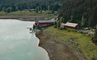 Letnikof Cove, Chilkat Inlet