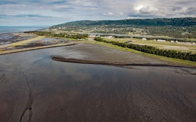 Mud Bay, Kachemak Bay