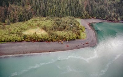 Shepard Point, Orca Inlet