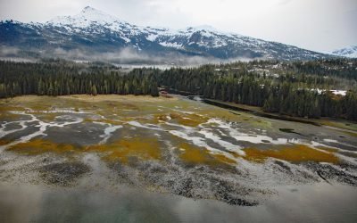 Cannery Creek, Unakwik Inlet