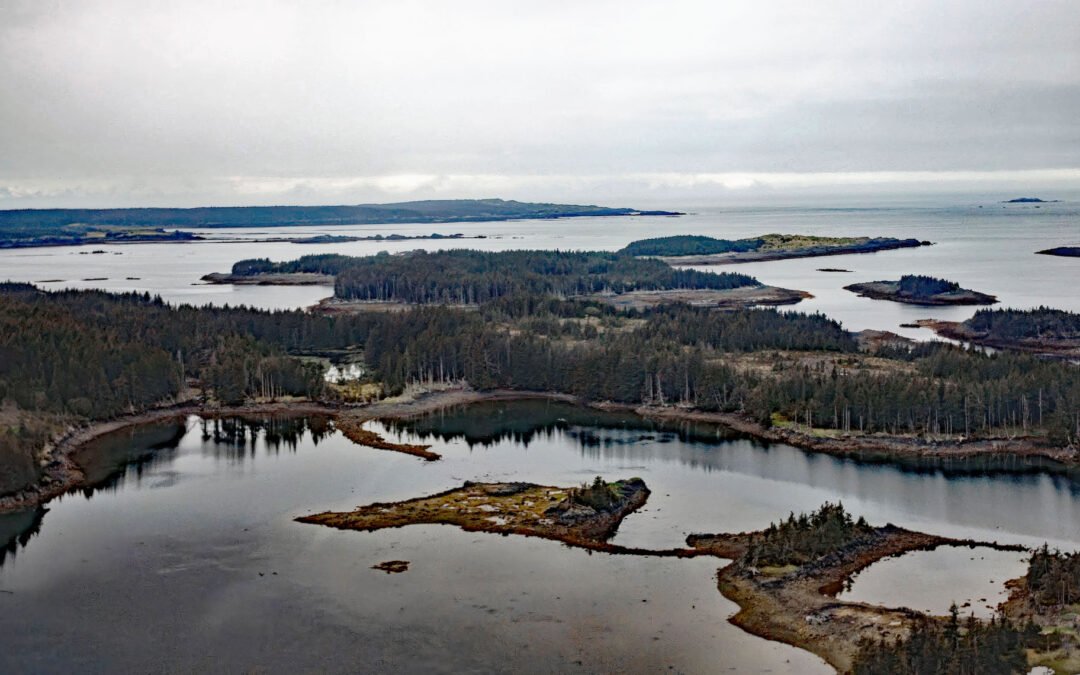 Carry Inlet, Shuyak Island