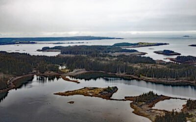 Carry Inlet, Shuyak Island