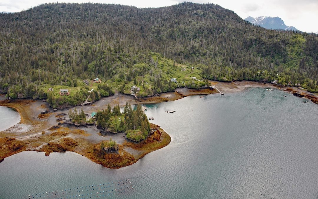 Peterson Bay, Kachemak Bay