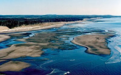 SS Pezuta, Tlell River