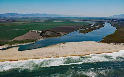 Salinas River, Castroville