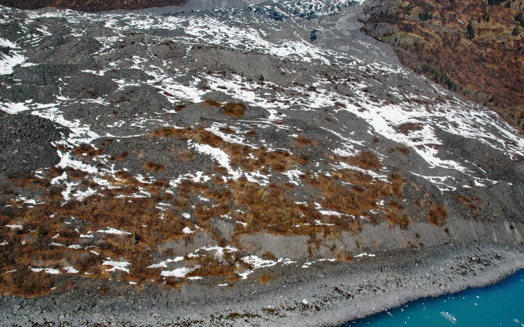 Vassar Glacier, College Fjord