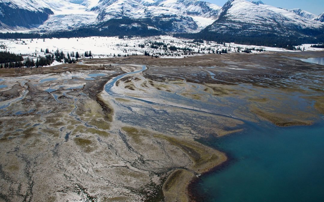 Amherst Glacier, College Fjord