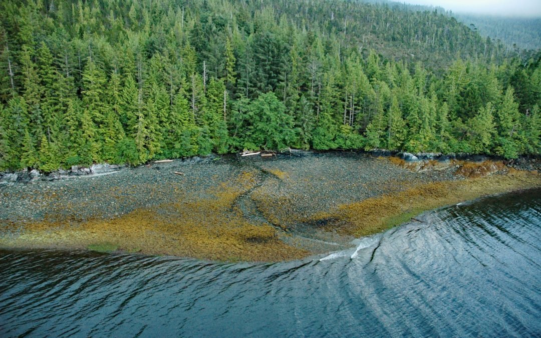 Copper City, Hetta Inlet