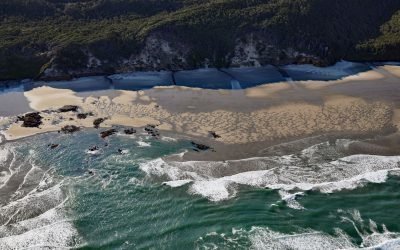 Hobbit Beach, Heceta Head