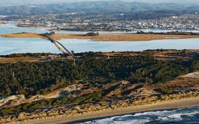 Tuluwat Island, Humboldt Bay