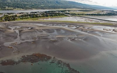 Mariner Lagoon, Kachemak Bay
