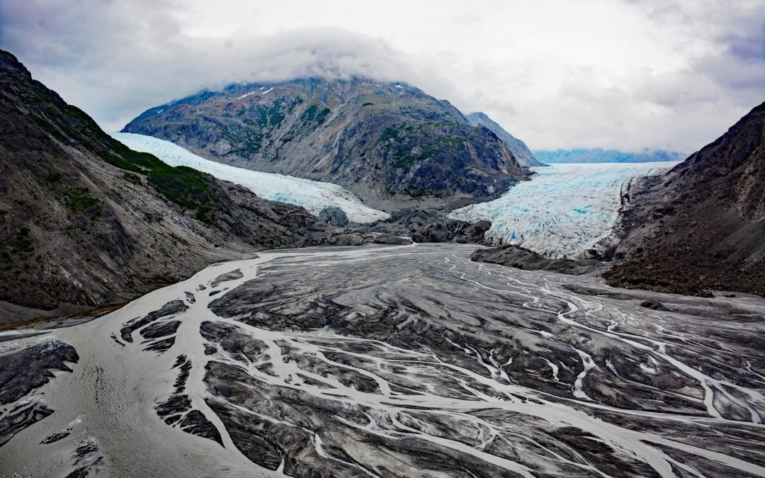 Morse and Muir Glaciers, Muir Inlet