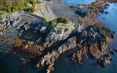 Seal Island, Prince William Sound