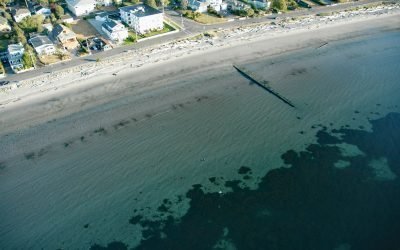 Willows Beach, Oak Bay