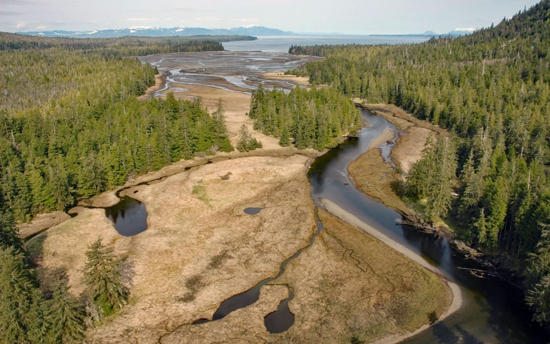 Black Bear Creek, Cleveland Peninsula