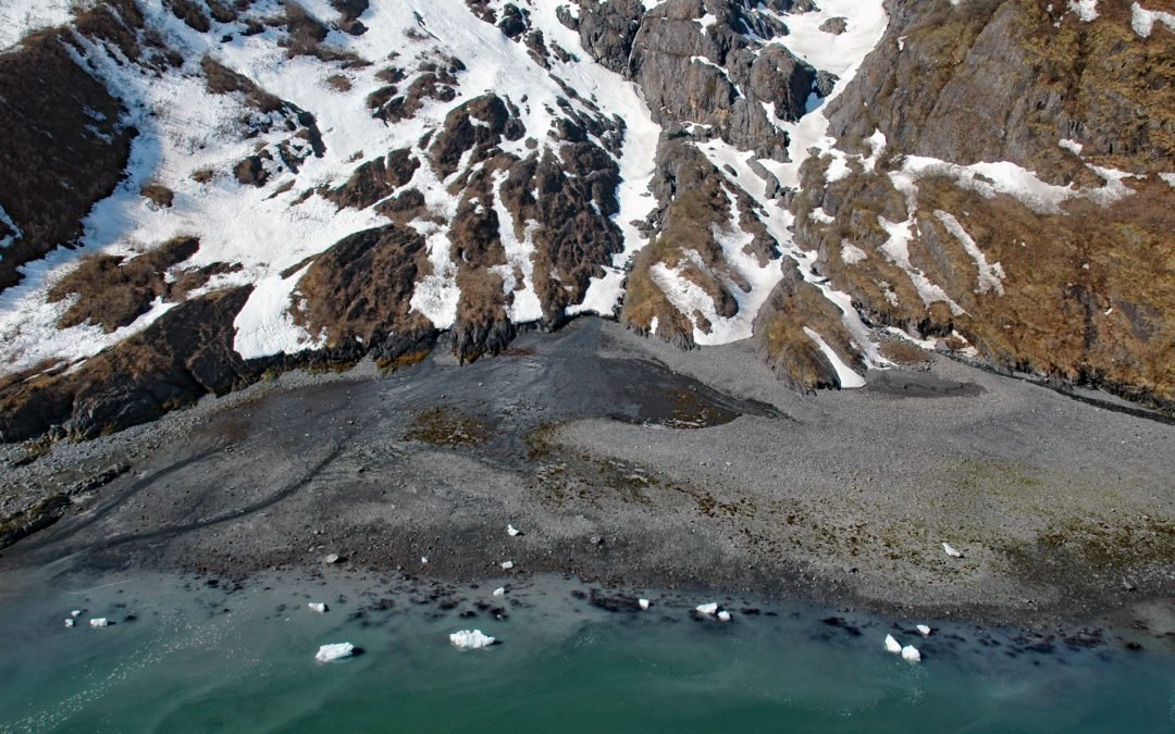 Cataract Glacier, Surprise Inlet