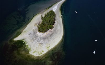 Cutts Island, Carr Inlet
