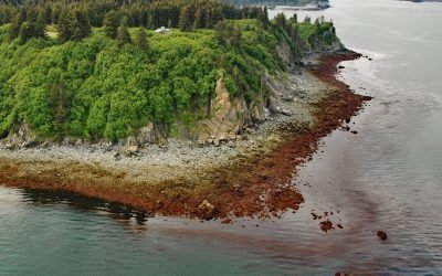 Seldovia Point, Kachemak Bay