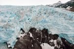 Tiger Glacier, Icy Bay