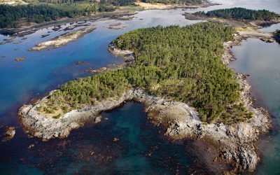 Bentinck Island, Cape Calver
