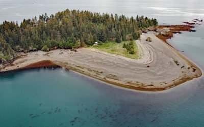 Cohen Island, Kachemak Bay
