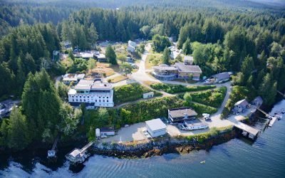 Bamfield, Barkley Sound
