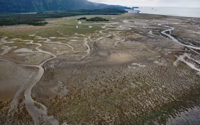 China Poot Bay, Kachemak Bay