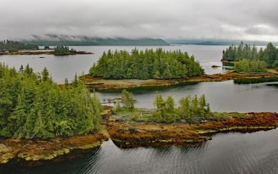 Coco Harbor, Dall Island