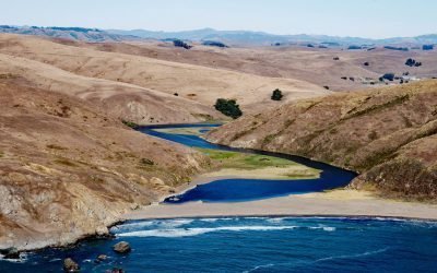 Estero de San Antonio, Bodega Bay